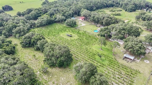 5117 CR 316A, Bushnell, FL 33513