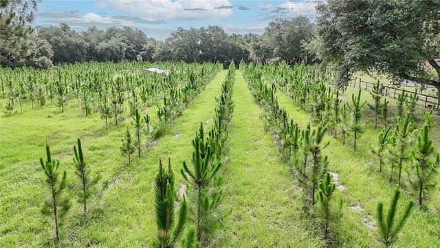 5117 CR 316A, Bushnell, FL 33513