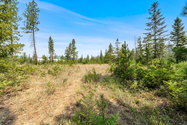 6833 Coyote Trail Lot B & C, Newport, WA 99156