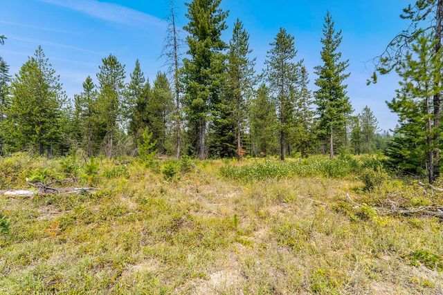6833 Coyote Trail Lot B & C, Newport, WA 99156