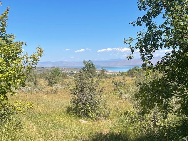 347 COLD SPRINGS DR, Fish Haven, ID 83287