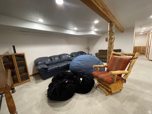 347 COLD SPRINGS DR, Fish Haven, ID 83287