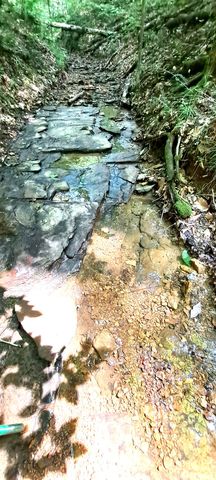1027 Garland Hollow Rd, Pegram, TN 37143