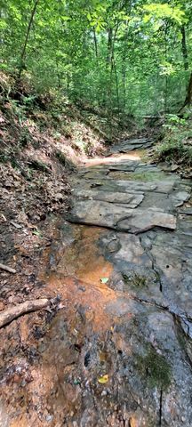 1027 Garland Hollow Rd, Pegram, TN 37143