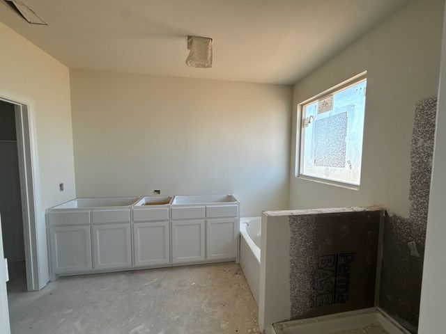 1217 Colca Drive, Springtown, TX 76082