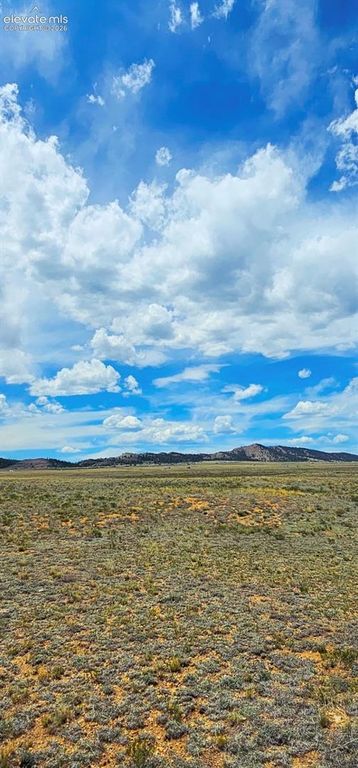 671 S Muley Gulch Drive, Hartsel, CO 80449 — photo 3