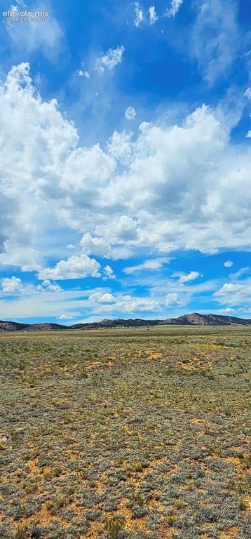 671 S Muley Gulch Drive, Hartsel, CO 80449 — photo 4
