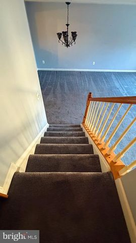 805 GALLOWS CT, Culpeper, VA 22701