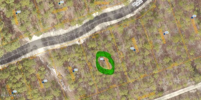 616 Del-Sol Circle SE, Bolivia, NC 28422