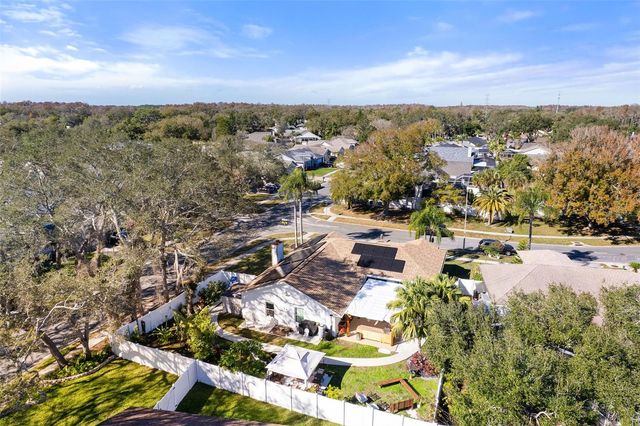 15101 REDVALE DRIVE, Tampa, FL 33625