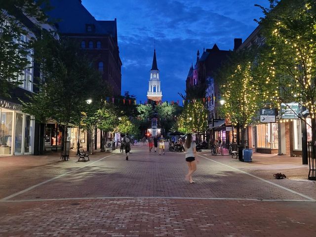 11 Alfred Street, Burlington, VT 05401