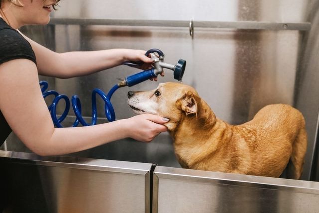 45 Lewis St 607, Boston, MA 02128