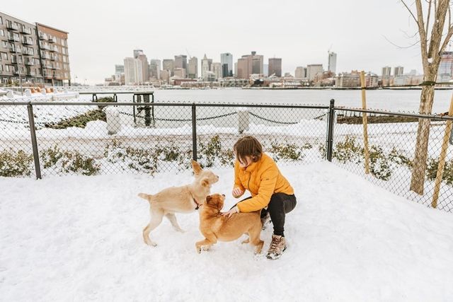 45 Lewis St 607, Boston, MA 02128