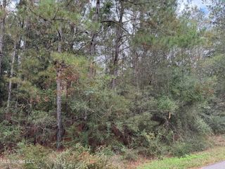 0 Dupont Harts Chapel Rd Road, Poplarville, MS 39470