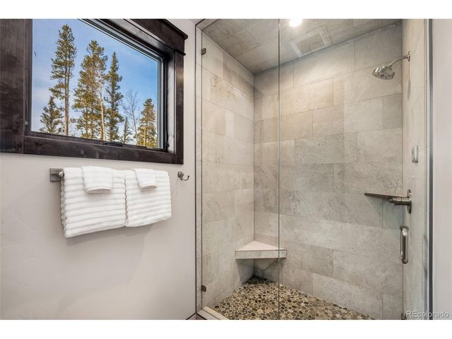 50 Fly Caster Ln, Silverthorne, CO 80498