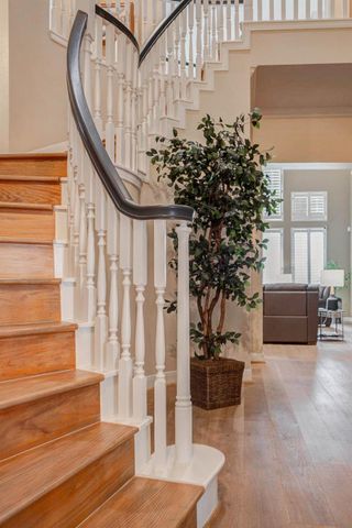 11423 Pampass Pass, Houston, TX 77095