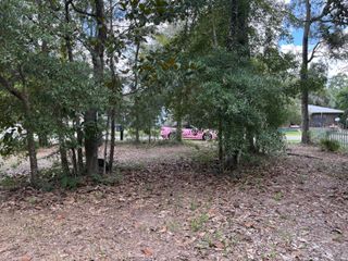 188 Palmetto Avenue, Freeport, FL 32439