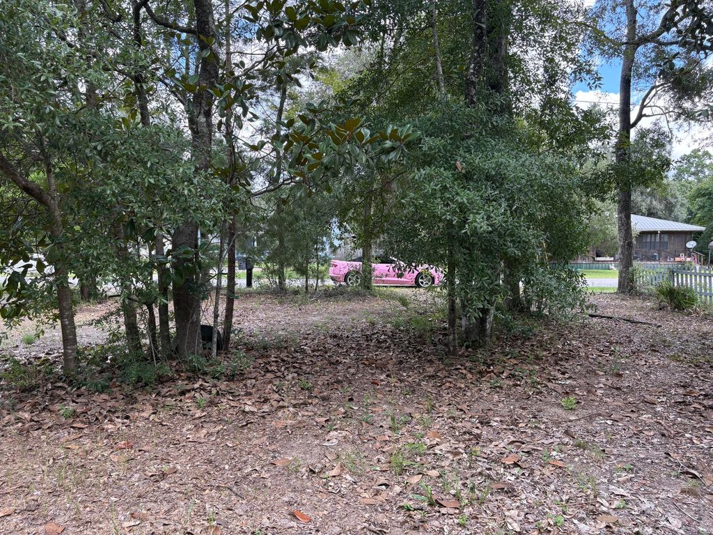 188 Palmetto Avenue, Freeport, FL 32439