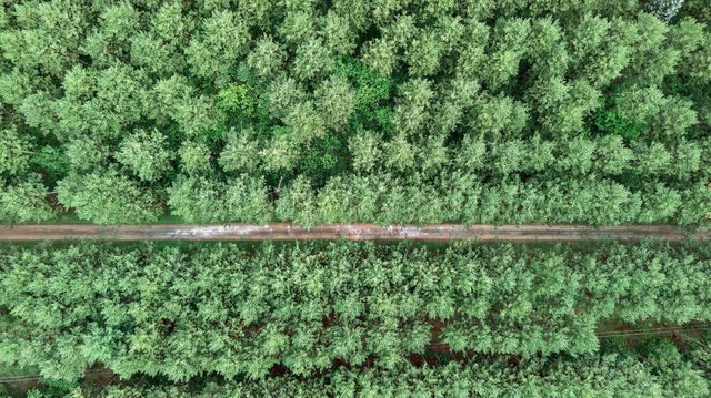 tbd 417th Street, North Branch, MN 55056