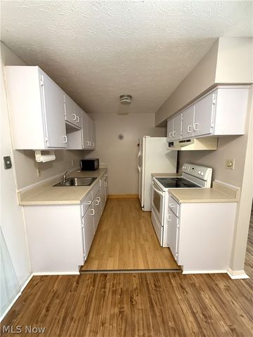 16370 Heather Lane 303, Middleburg Heights, OH 44130