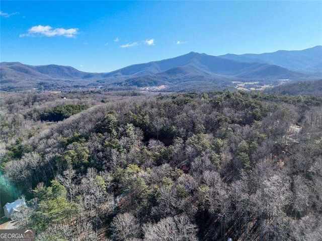 6710 Morgan Drive, Young Harris, GA 30582