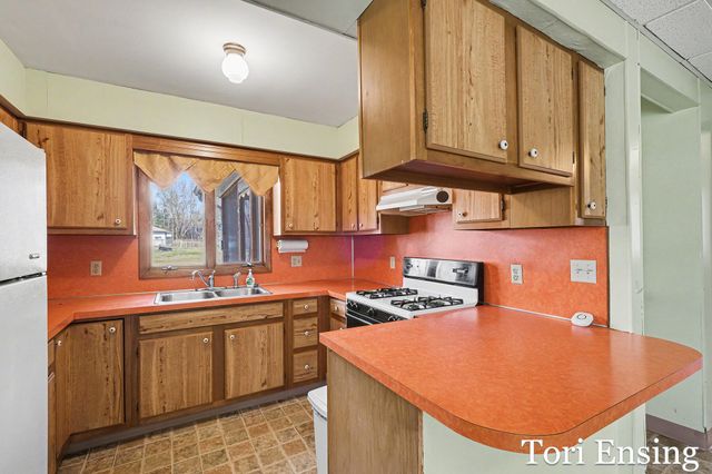 406 E North Street, Greenville, MI 48838