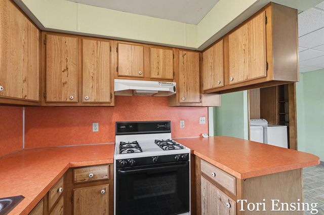 406 E North Street, Greenville, MI 48838