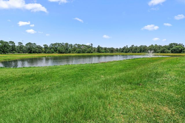 6115 Caroline Green Court, Spring, TX 77373
