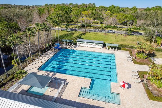 10245 WOODFORD BRIDGE STREET, Tampa, FL 33626