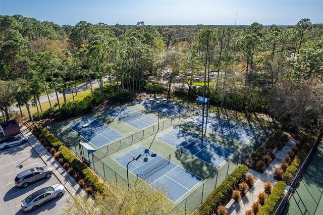 10245 WOODFORD BRIDGE STREET, Tampa, FL 33626