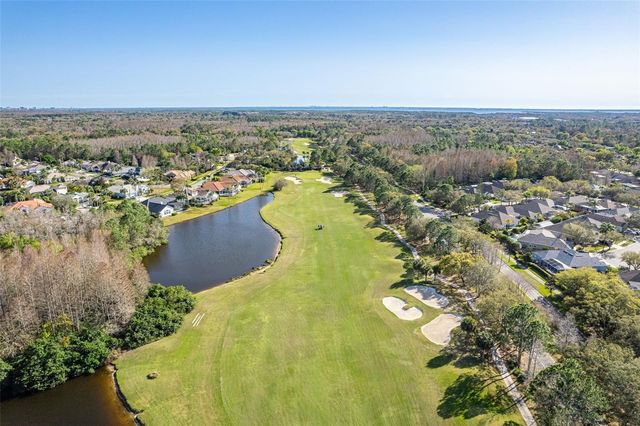 10245 WOODFORD BRIDGE STREET, Tampa, FL 33626