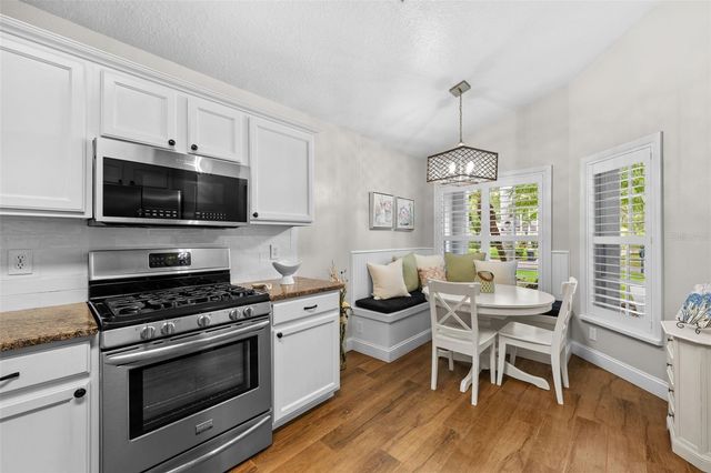 10245 WOODFORD BRIDGE STREET, Tampa, FL 33626