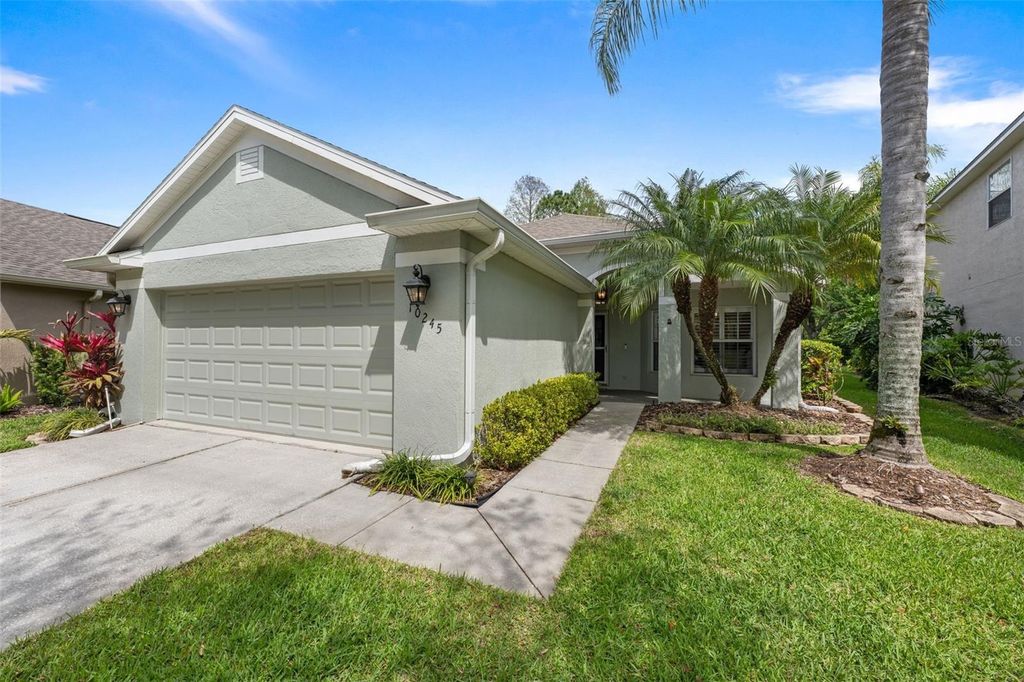 10245 WOODFORD BRIDGE STREET, Tampa, FL 33626