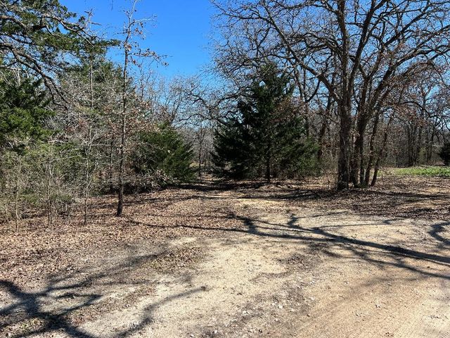 154 Hcr 1217, Blum, TX 76627