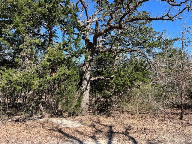 154 Hcr 1217, Blum, TX 76627