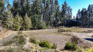 223 W B Street, Shelton, WA 98584