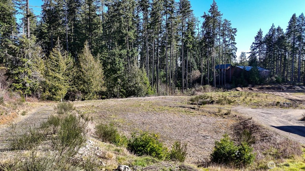 223 W B Street, Shelton, WA 98584