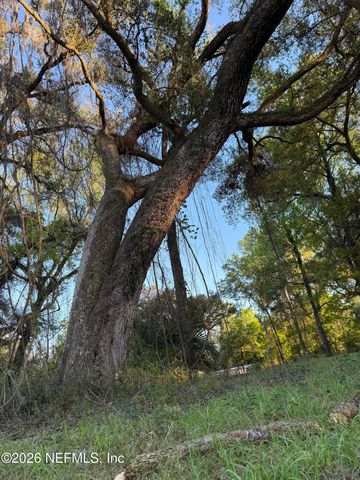 0 WALKER DRIVE Drive, Interlachen, FL 32148