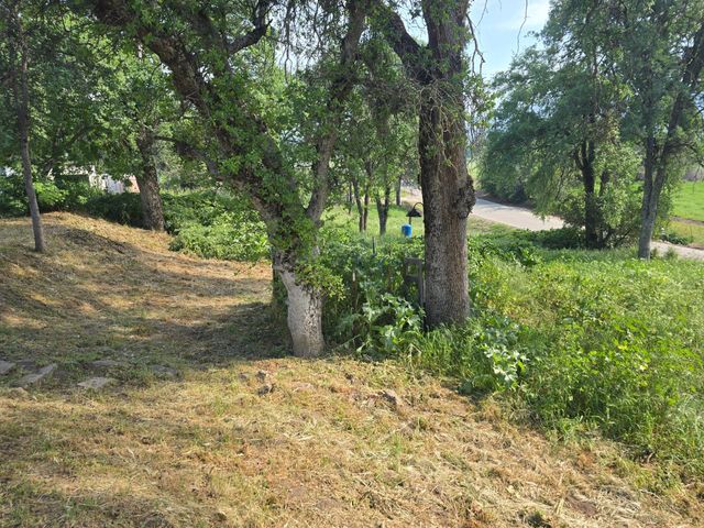 40210 Millwood Road, Dunlap, CA 93621