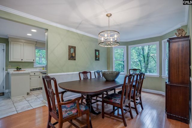 151 Eagle Chase Court, Chapin, SC 29036