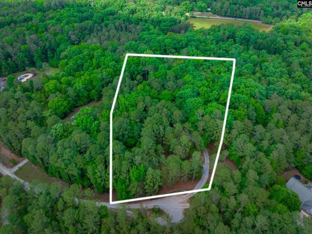 151 Eagle Chase Court, Chapin, SC 29036