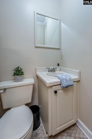 151 Eagle Chase Court, Chapin, SC 29036
