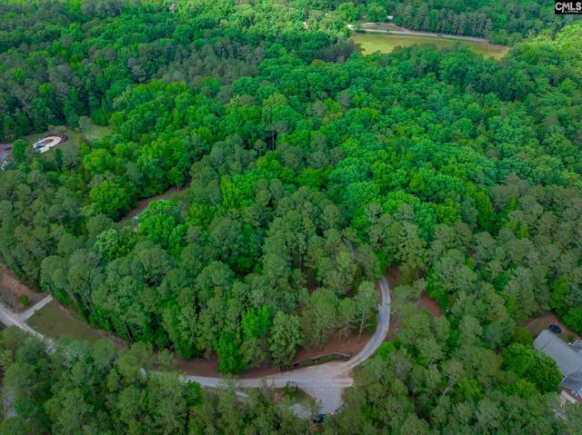 151 Eagle Chase Court, Chapin, SC 29036