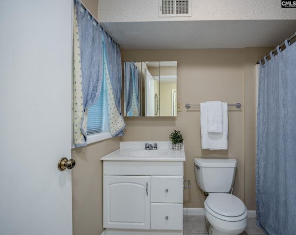 151 Eagle Chase Court, Chapin, SC 29036