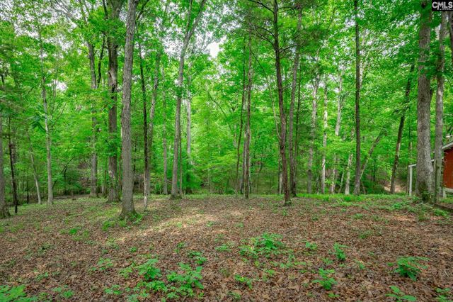 151 Eagle Chase Court, Chapin, SC 29036
