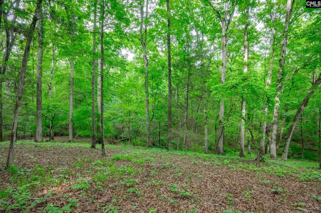 151 Eagle Chase Court, Chapin, SC 29036