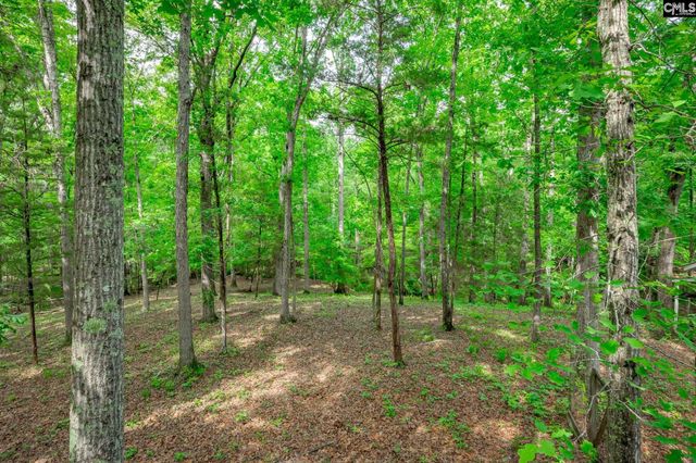 151 Eagle Chase Court, Chapin, SC 29036