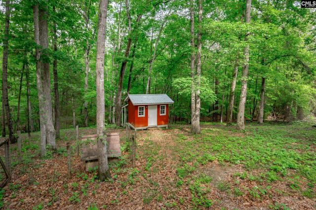 151 Eagle Chase Court, Chapin, SC 29036