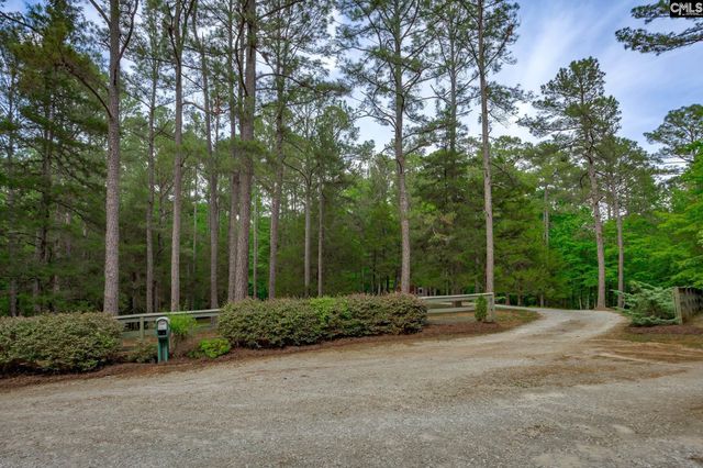 151 Eagle Chase Court, Chapin, SC 29036