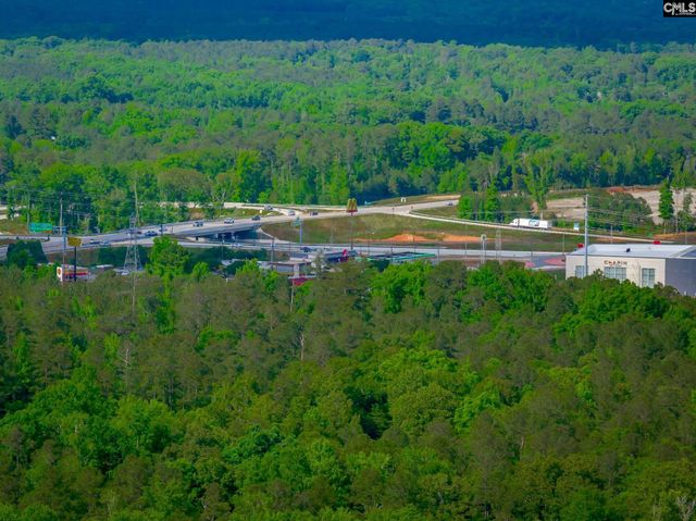 151 Eagle Chase Court, Chapin, SC 29036